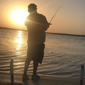 Meet your Posher, Albert